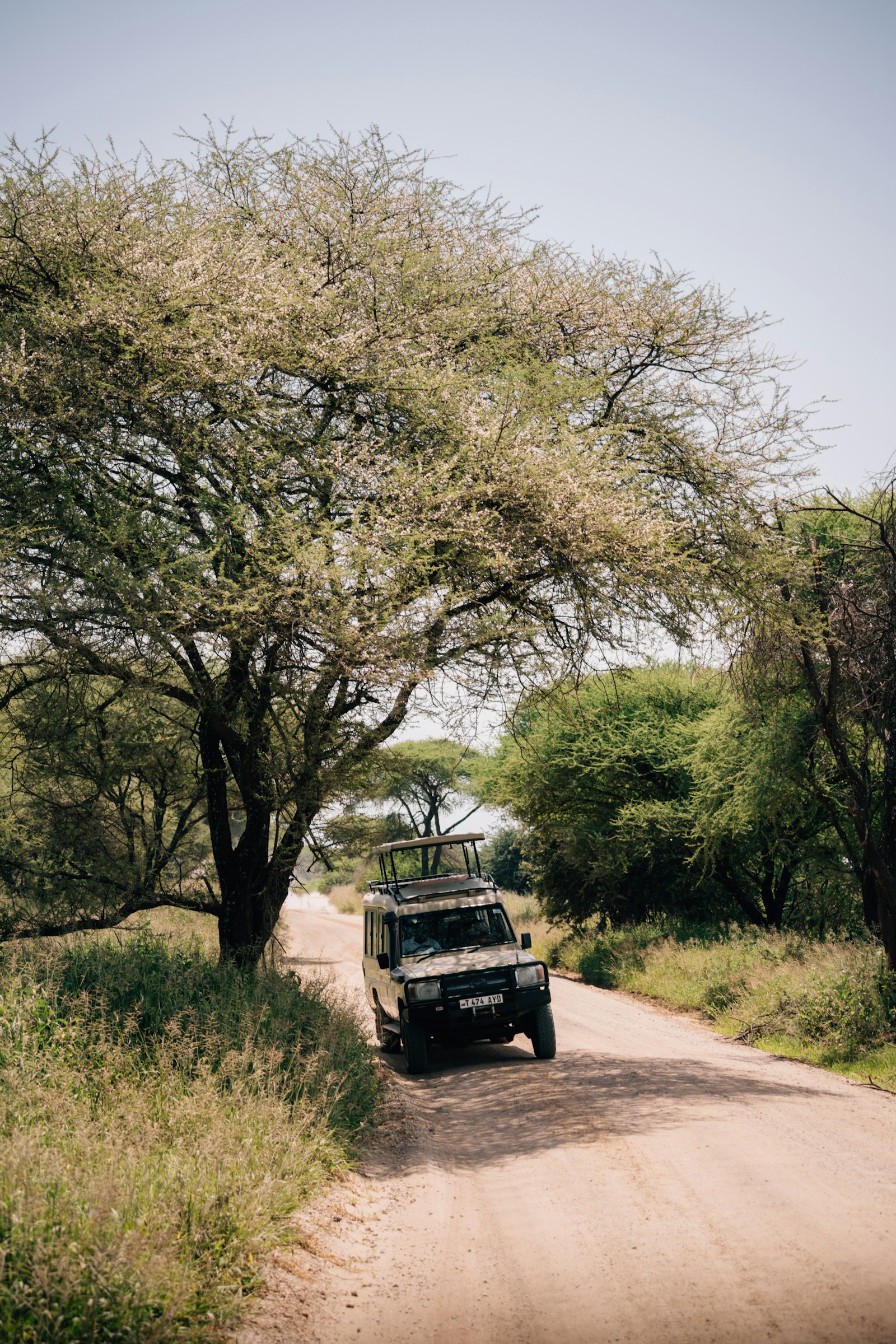 Safari jeep in the Maasai Mara at sunset